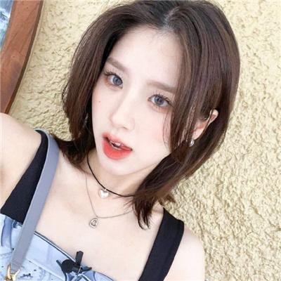 星星守护犬